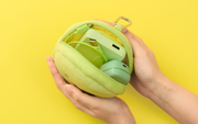 SMISKI Cushion Pouch - Shelf Ready
