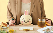 Posture Pal - CHiiKAWA - Collector Display