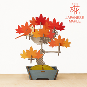 Play Plants Bonsai Puzzles - Cute Daily Carry