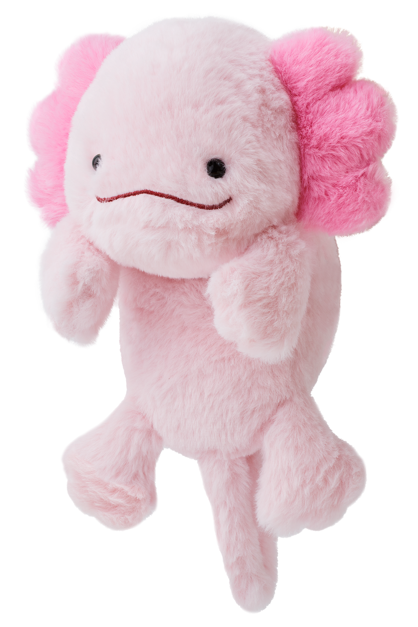 Posture Pal - Little Travel Accent