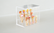Sonny Angel Acrylic Display Case - Gift Accent