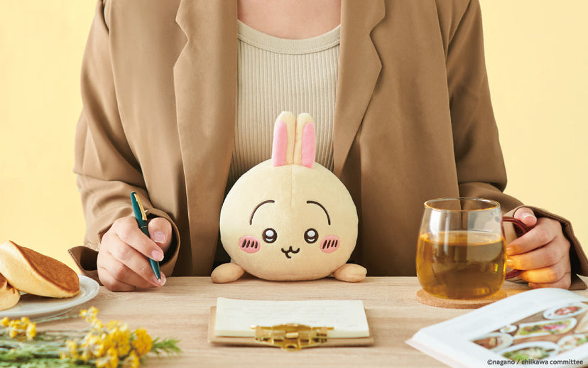 Posture Pal - CHiiKAWA - Collector Display