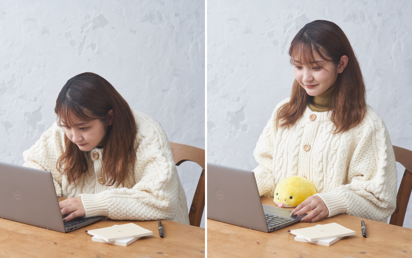 Posture Pal - Modern Desk Carry