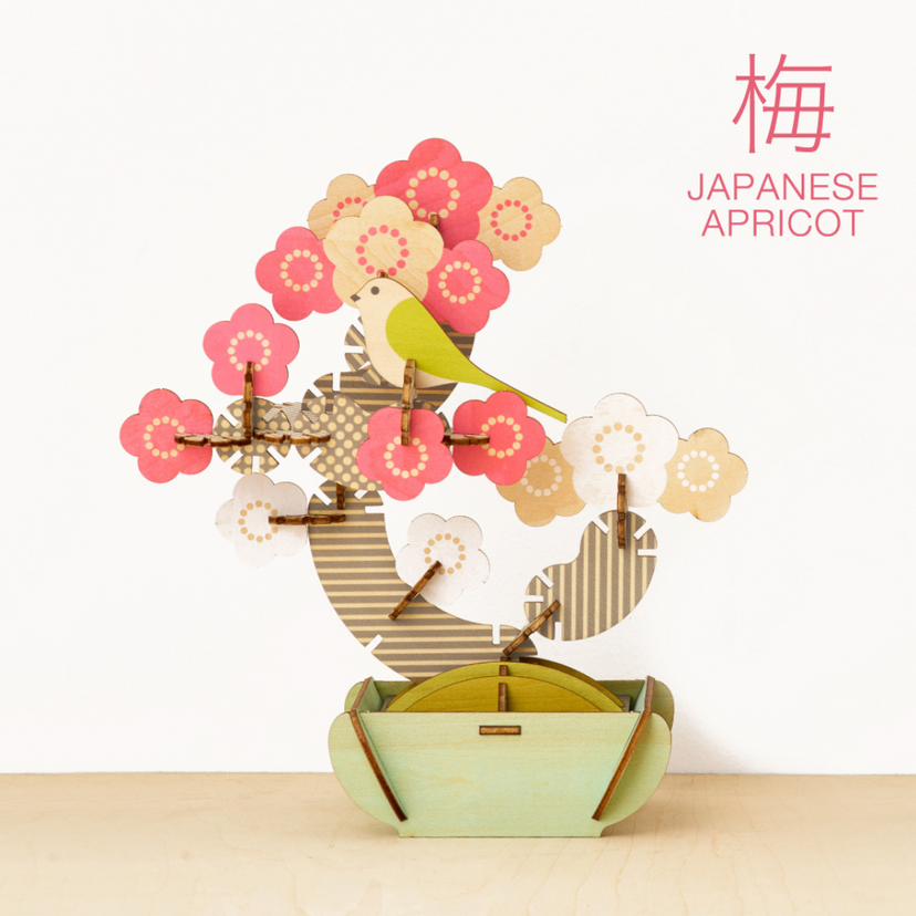 Play Plants Bonsai Puzzles - Cute Daily Carry