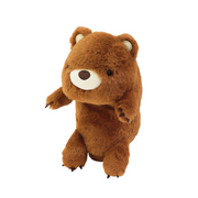 Posture Pal - Little Travel Accent
