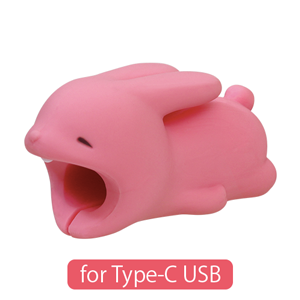 CABLE BITE for Type-C USB - Happy Gift Pick